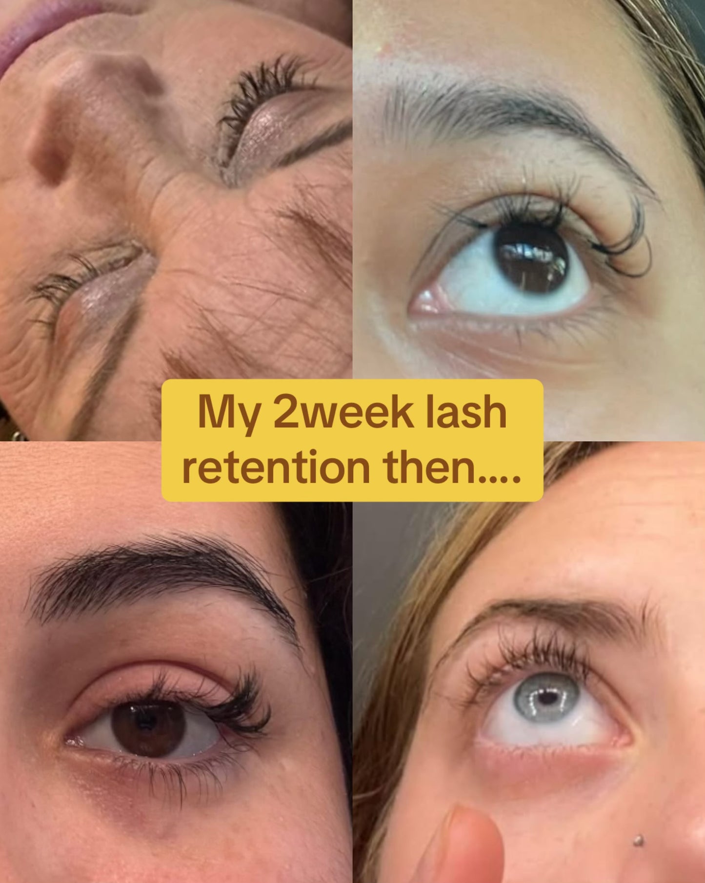Lash Retention Unlocked - Everything your lash course didn't teach you