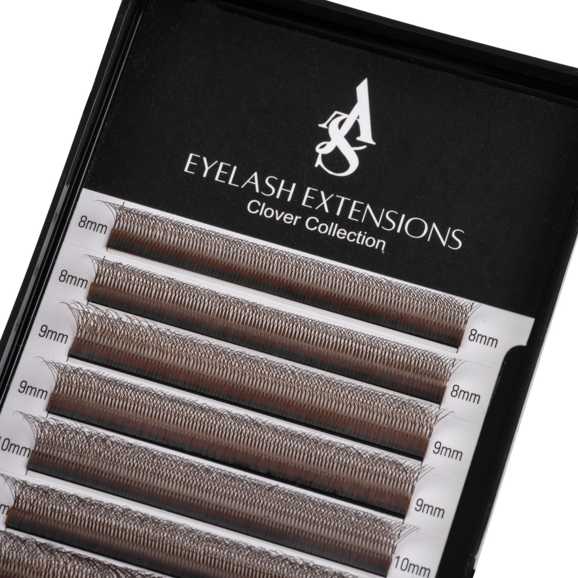 5D BROWN CLOVER LASHES