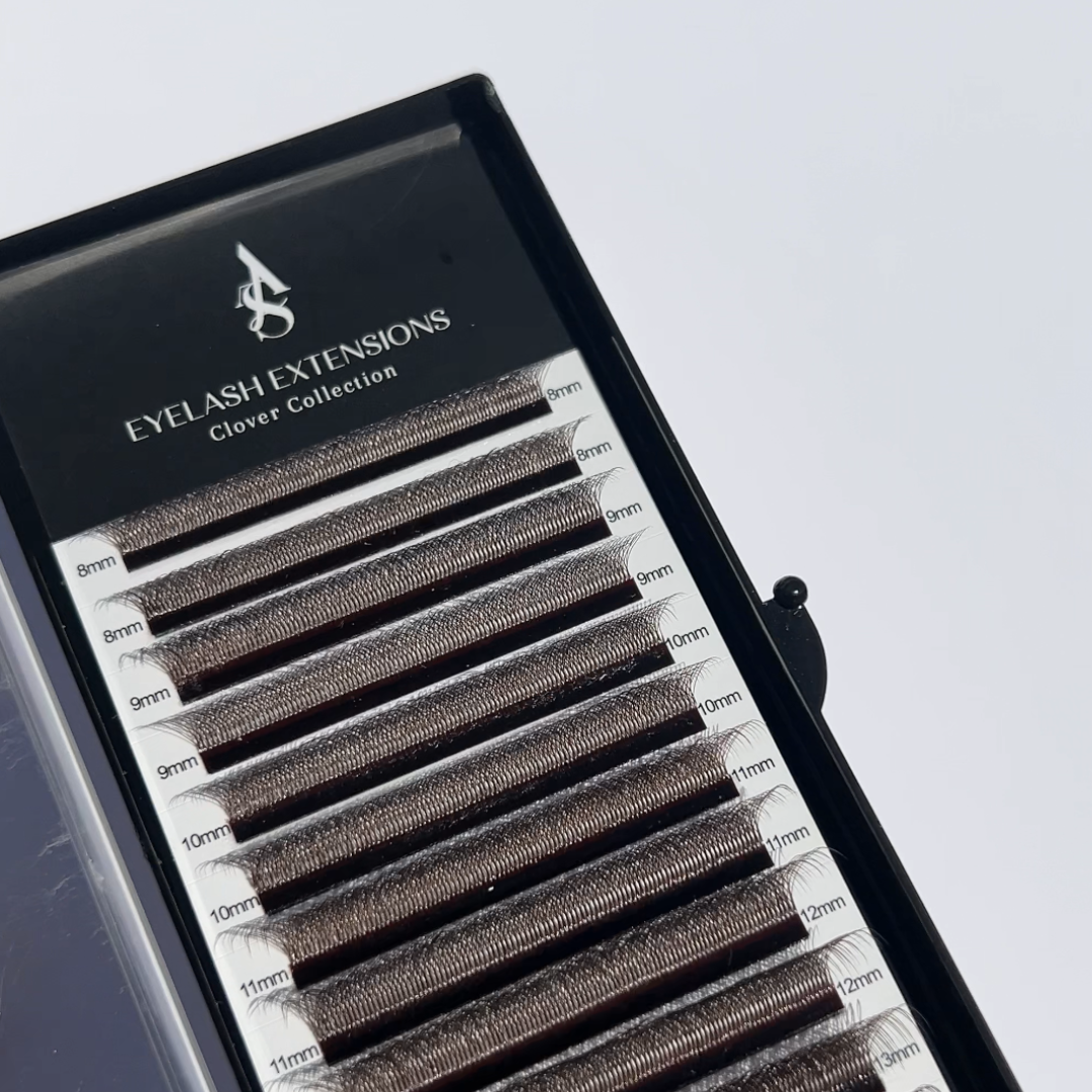 5D BROWN CLOVER LASHES