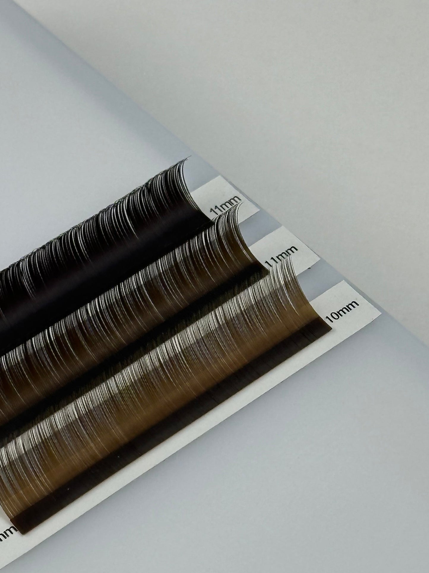 BROWN VOLUME COLLECTION